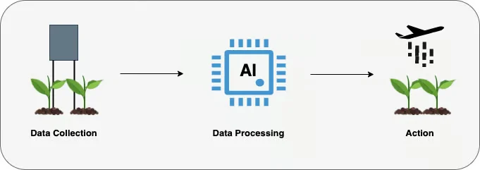 Processus d&rsquo;IA aux bords