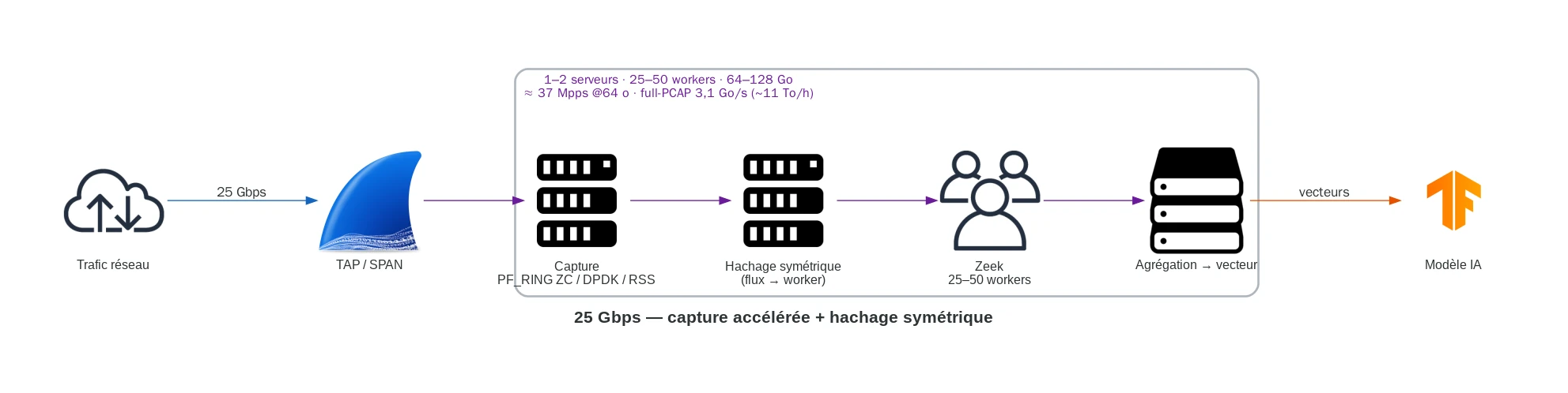 Prétraitement à 25 Gbps, capture accélérée et hachage symétrique